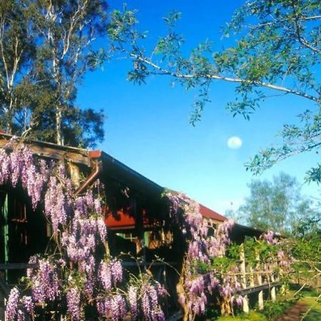 Cedar Creek Cottages Millfield Kültér fotó