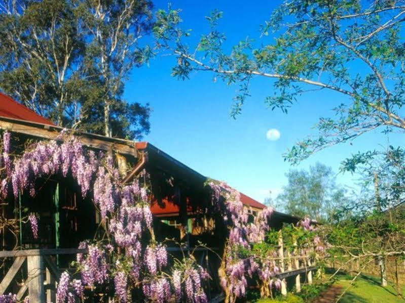 Cedar Creek Cottages Millfield Kültér fotó